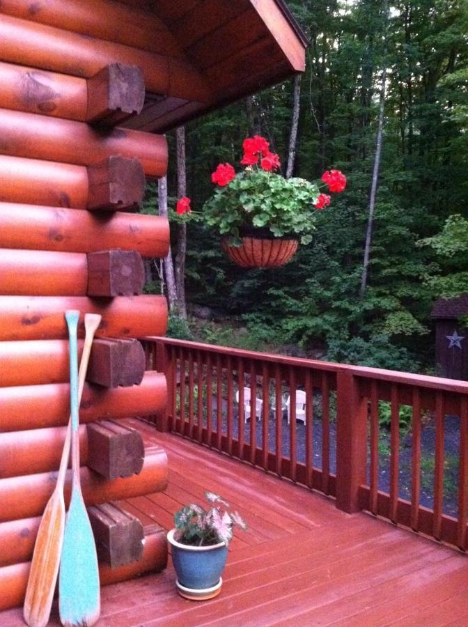 The Catskill Cabin Elka Park Zewnętrze zdjęcie